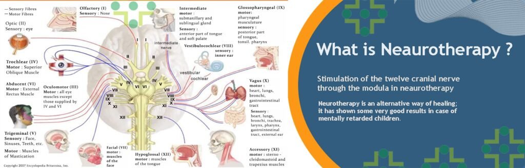 what is Neurotherapy
- न्यूरोथेरेपी क्या है?